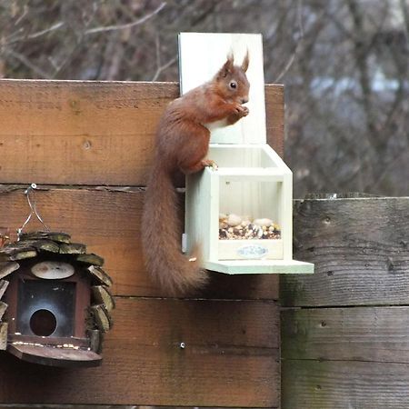 Woodburn Ground-Floor Apartment In Quiet Setting In Pitlochry Eksteriør bilde